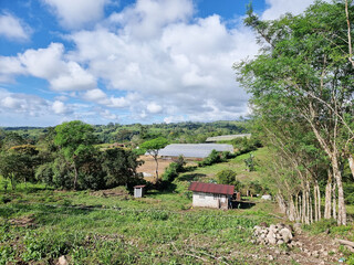 Panama, highlands, tropical jungle greenhouses