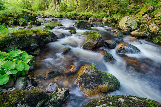 Kalte Bode in Elendstal, Schierke, Harz, Saxony-Anhalt, Germany