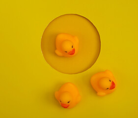 Rubber ducks on a round hole yellow background. creative layout