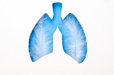 Cut paper with shape of human lungs and feathers