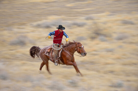 Blurred motion of cowboy on horse galloping in wilderness, Rocky Mountains, Wyoming, USA