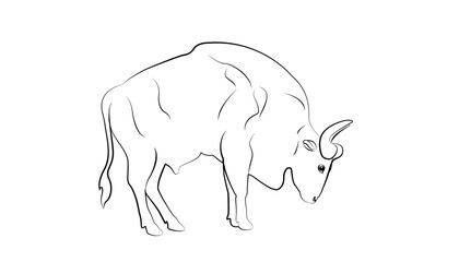 Vector illustration of bull design.logo,symbol,logo design