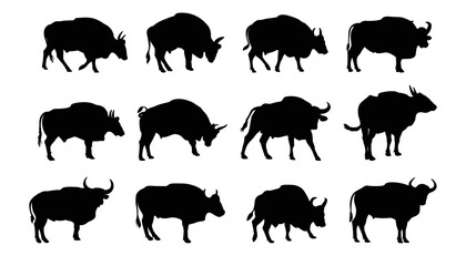 Isolated bull animal design. Set bull silhouette of standing in different poses and Lonely bull. Bull logo design, vector illustration.