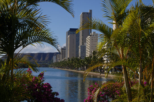 Waikiki, Honolulu, Hawaii, USA