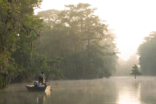 Lake Martin, Lafayette, Louisiana, USA