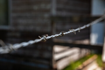 barbed wire fence with farm shed in background