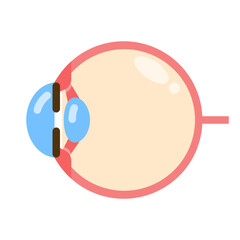 eye flat icon