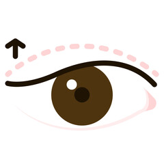 eyelid flat icon