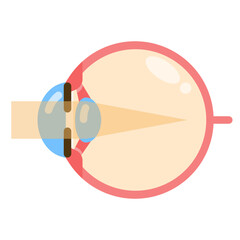 myopia flat icon