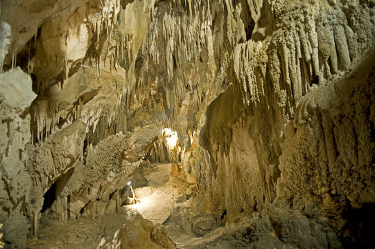 Interior of Cave, Takaka, Golden Bay District, Nelson Region, South Island, New Zealand