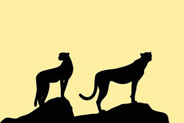 Cheetah, exotic african wild animal. Cheetah on white background logo. vector Cheetah, guepard wild cats graphic illustration.