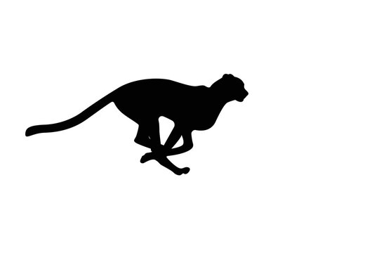Cheetah silhouette logo, running, jumping, vector illustration