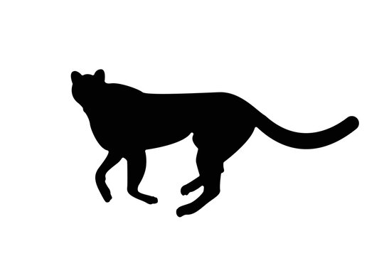 Cheetah silhouette logo, running, jumping, vector illustration
