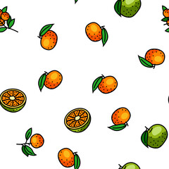 mandarin clementine orange fruit vector seamless pattern thin line illustration