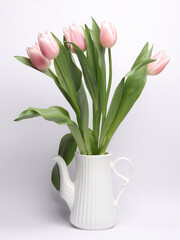 White teapot with a bouquet of tulips on a white background