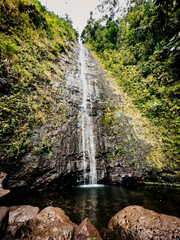 Manoa Falls