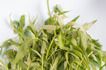 front view, Water spinach or Kangkung isolated on white background. Selective focus