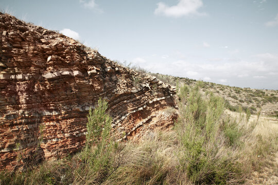 Close-up of Rock and Plants, Highway 67, Texas, USA