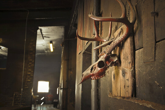 Smitty&rsquo;s Market, Lockhart, Caldwell County, Texas, USA