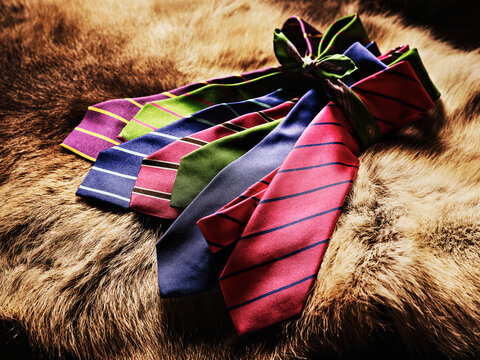 Colorful Striped Ties on Brown Fur, Studio Shot