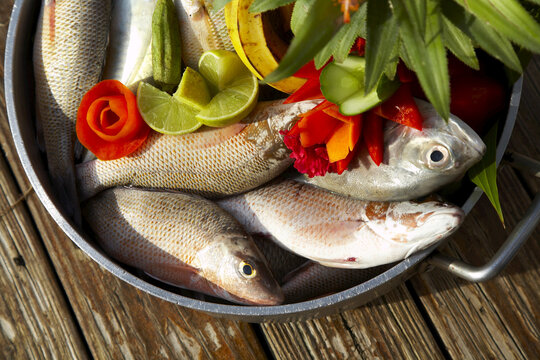Pot Full of Fresh Red Snapper, Vegetables and Fruit