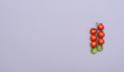 Small red and green organic tomatoes on grey background. Healthy eating concept. Vegan food. Minimal flat lay with copy space