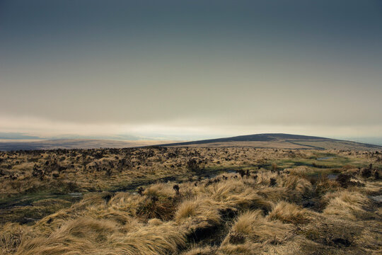 View of Dartmoor From Rippon Tor, Widecombe in the Moor, Devon, England