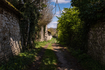 Fototapeta premium Trail along a limestone garden wall covered with shrubs