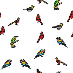 Obraz premium bird exotic animal nature wild vector seamless pattern thin line illustration