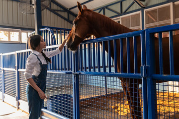 Young beautiful Asian farmer taking care her horse during working in stable or barn. Horse owner touching and petting her beautiful horse in barn.