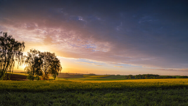 Panorama mit B&auml;umen und Sonnenaufgang