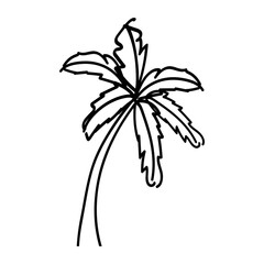 Palm tree hand drawn outline clipart illustration