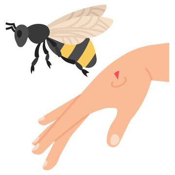 bee sting flat icon