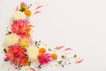 beautiful flowers composition on white background