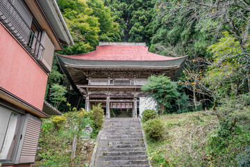 Fototapeta premium 善福寺