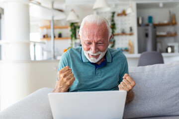 Fototapeta premium Elderly man seated on couch looking at laptop screen scream with joy feels excited happy celebrating lottery victory, lucky moment, got online opportunity, sales and discounts e-commerce concept