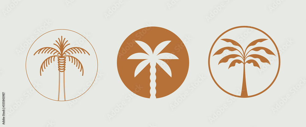 Poster vector logo design template with palm tree - abstract summer and vacation badge and emblem for holid