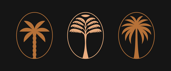 Vector logo design template with palm tree - abstract summer and vacation badge and emblem for holiday rentals, travel services, tropical spa and beauty studios © venimo