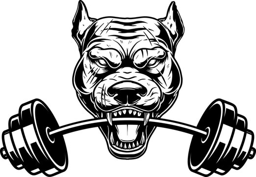 Angry dog head with gym barbell in teeth. Design element for logo, sign, emblem. Vector illustration