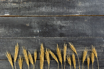Ears of wheat a on a dark wooden background. wheat crisis and record high prices for bakery...