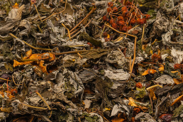 Dry tea leaves as a background.
