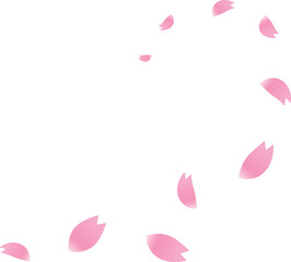 舞う桜の花びら　ピンク