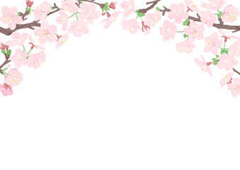 Obraz na płótnie Canvas 桜の花のトンネルのフレーム　A4横型　テクスチャー入り