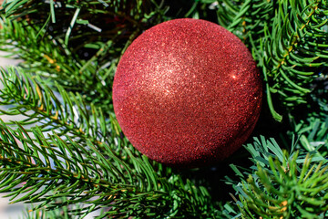 Obraz na płótnie Canvas Vivid dark red decorative Christmas bauble in a green tree
