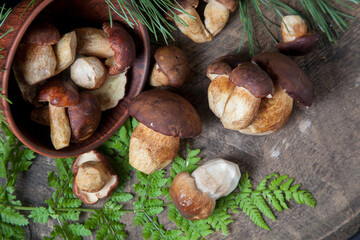 Imleria Badia or Boletus badius mushrooms commonly known as the bay bolete and Porcini mushroom commonly known as Boletus Edulis, clay bowl with mushrooms on vintage wooden background..