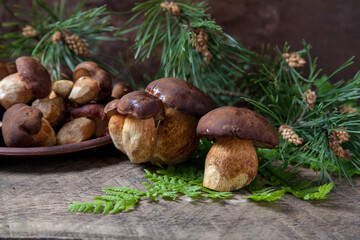 Imleria Badia or Boletus badius mushrooms commonly known as the bay bolete and clay plate with mushrooms on vintage wooden background..