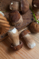 Selective focus on beautyfull porcini mushroom among the pile of wild porcini mushrooms on wooden background at autumn season..