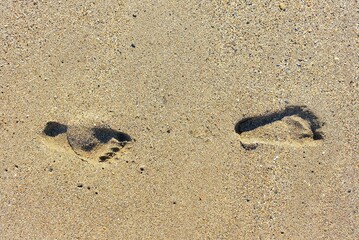 Footprints on the sand at the beach.