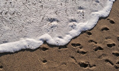 The sand on the beach and the sea foam hitting the beach.
