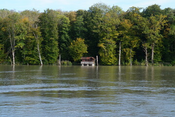 beugen 22_1